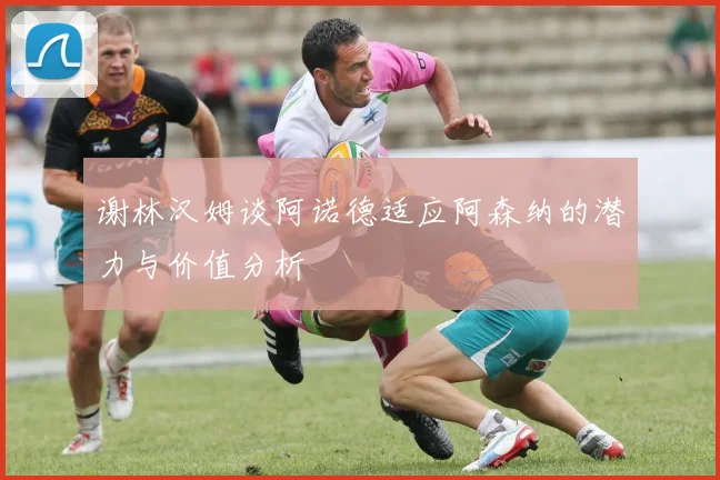谢林汉姆谈阿诺德适应阿森纳的潜力与价值分析